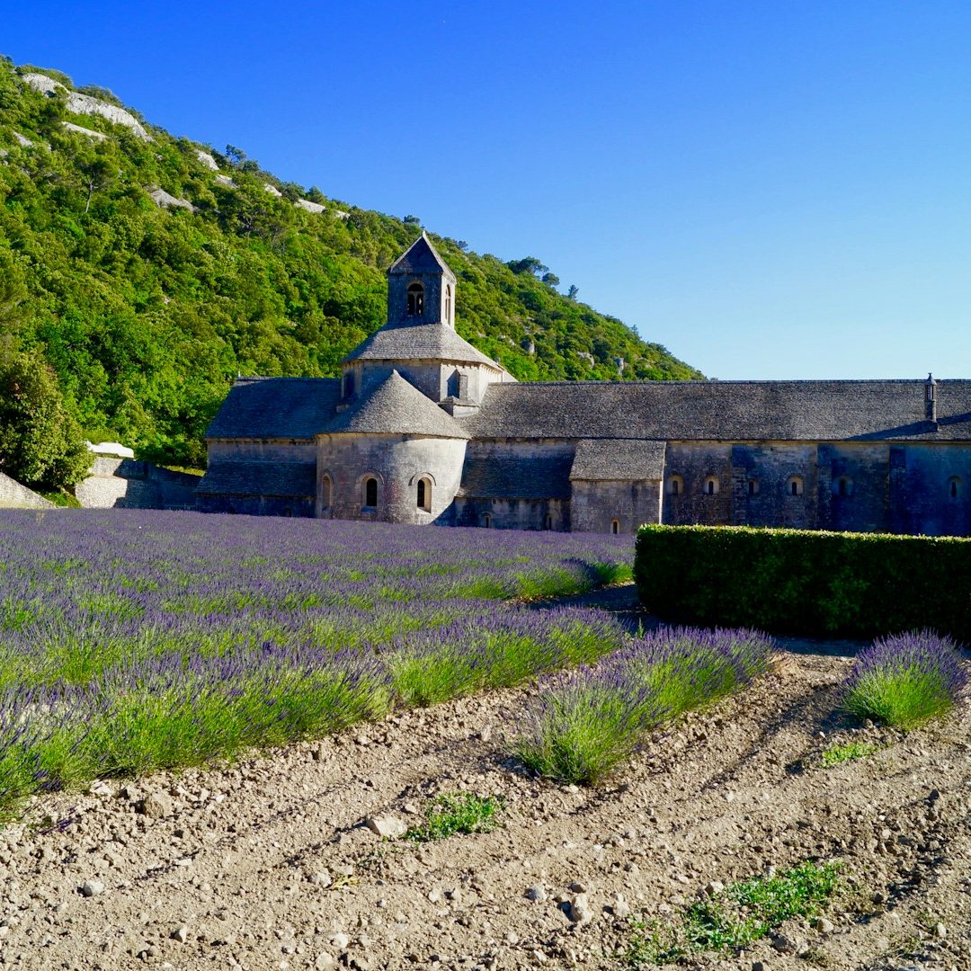 Abbaye entourée de champs de lavande sous un ciel bleu clair.